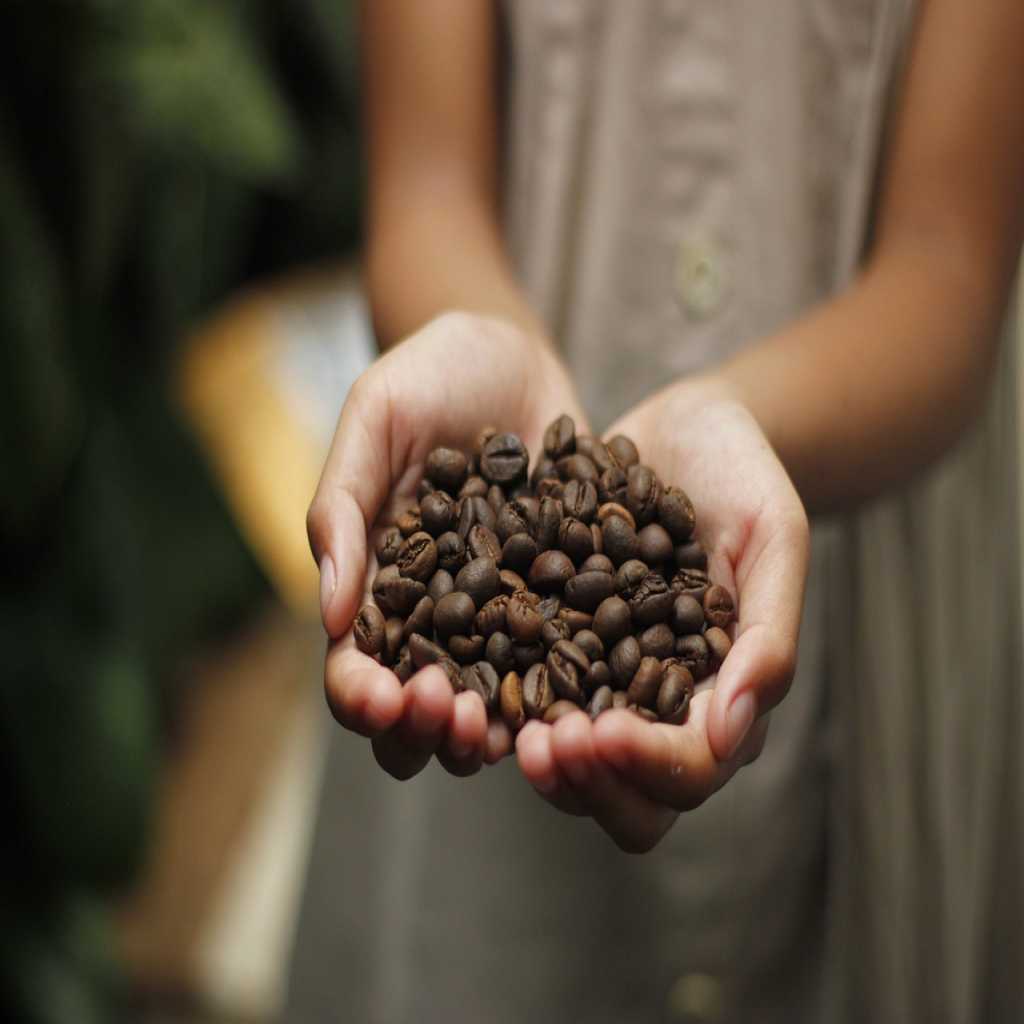 Quel type de grain utiliser pour faire un bon espresso ?
