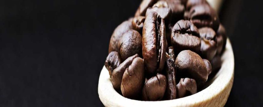 Les cafés les plus chers au monde : où les trouver et pourquoi ils coûtent si cher