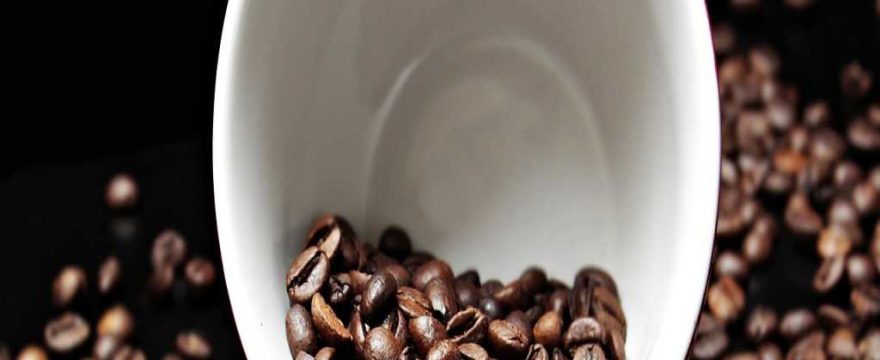 les differences entre les principaux types de cafe arabica robusta